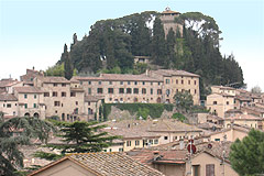 Cetona